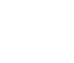 Dier Fysiotherapie van Leeuwen